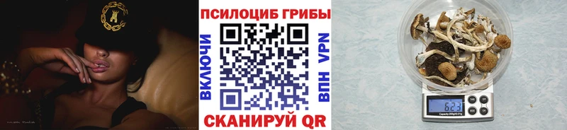 Галлюциногенные грибы прущие грибы Пролетарск